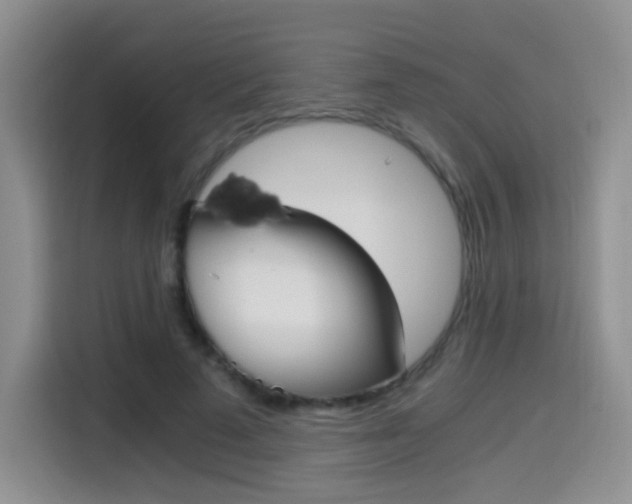 X0000114640689200910200941