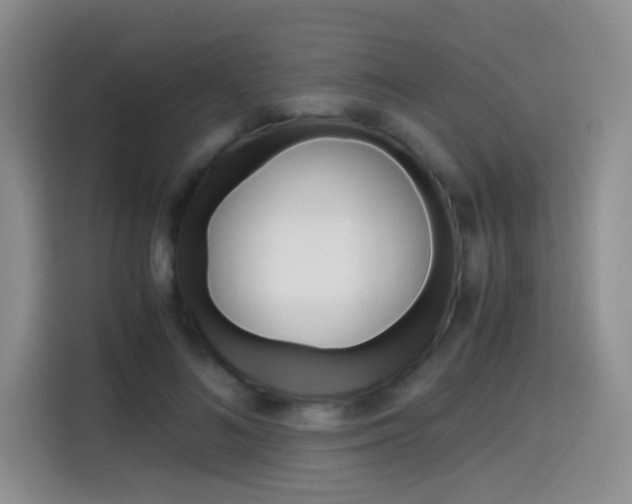 X0000114640692200910200941