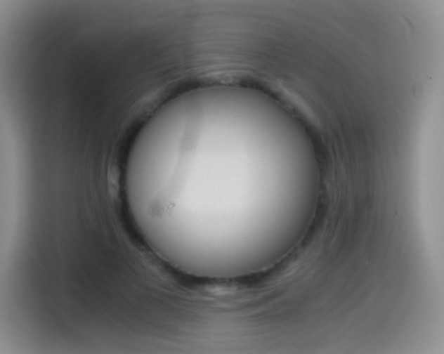 X0000114640693200910200941