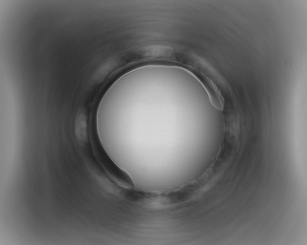 X0000114640696200910200941