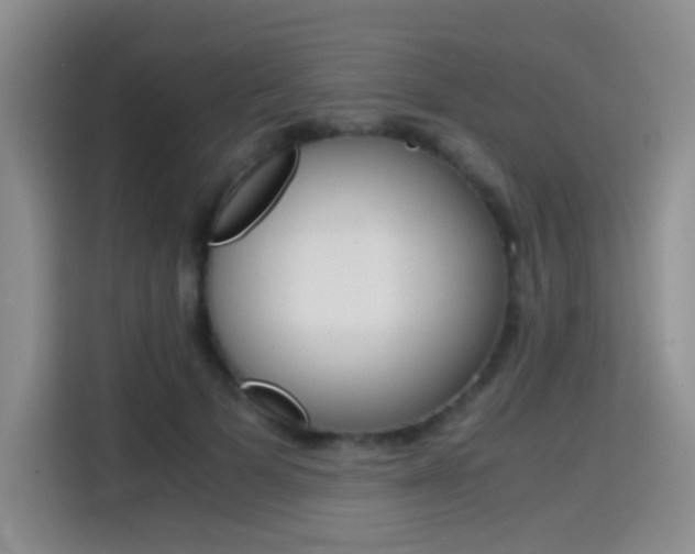 X0000114640697200910200941