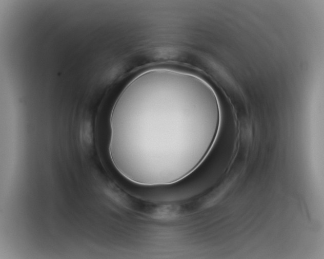 X0000114640700200910200941