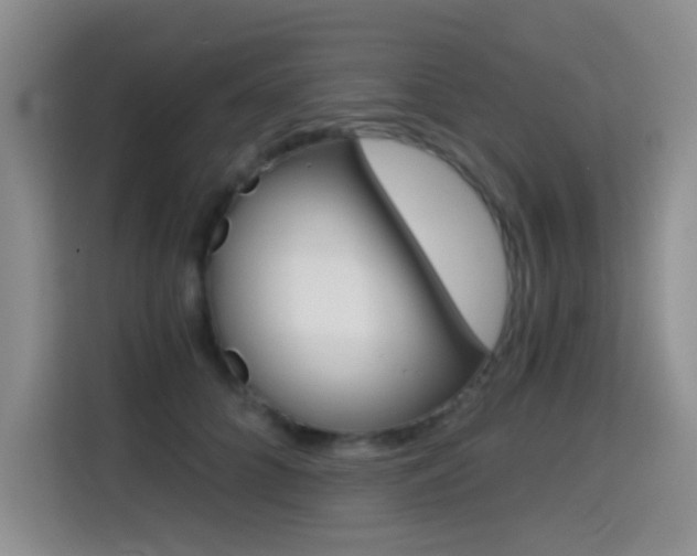 X0000114640704200910200941