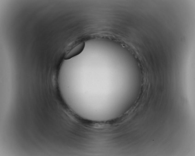 X0000114640708200910200941