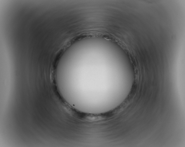 X0000114640712200910200941