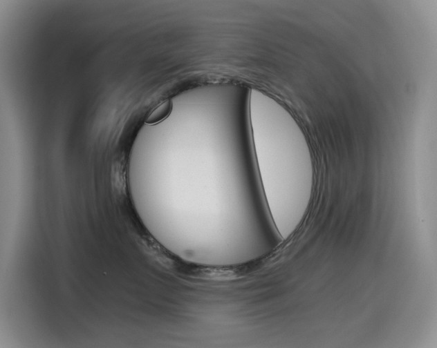 X0000114640719200910200941