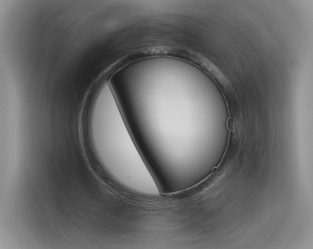 X0000114640722200910200940