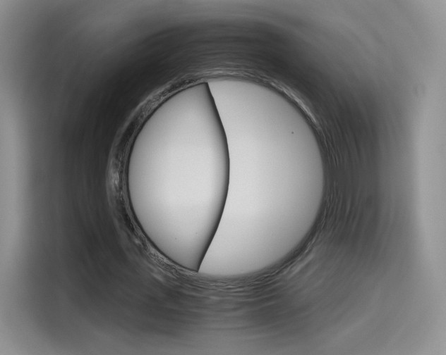 X0000114640723200910200940