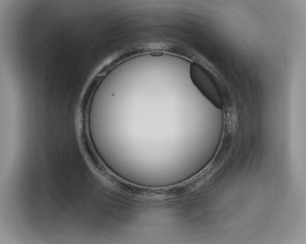X0000114640726200910200940