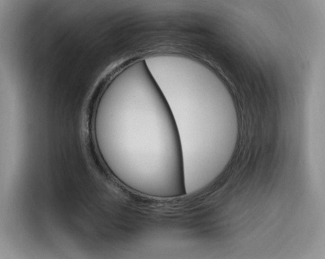 X0000114640727200910200940