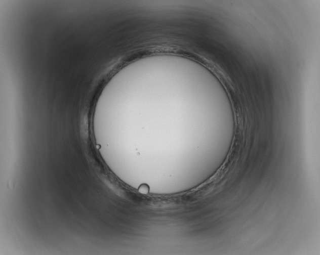 X0000114640729200910200940