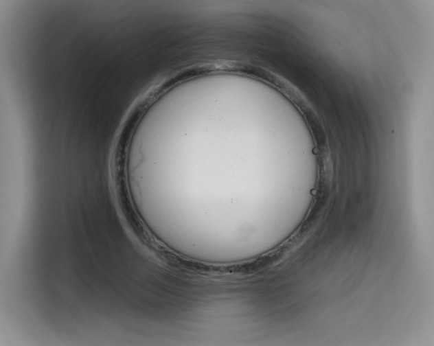 X0000114640730200910200940