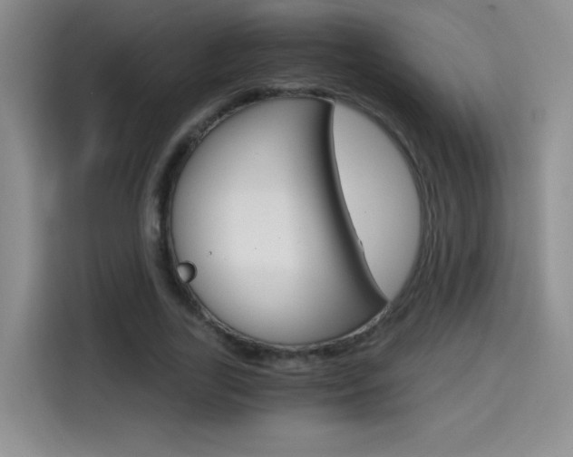 X0000114640731200910200940