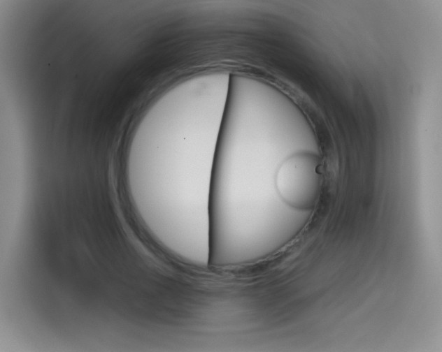 X0000114640734200910200940