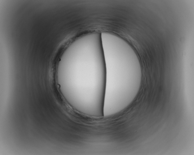 X0000114640735200910200940