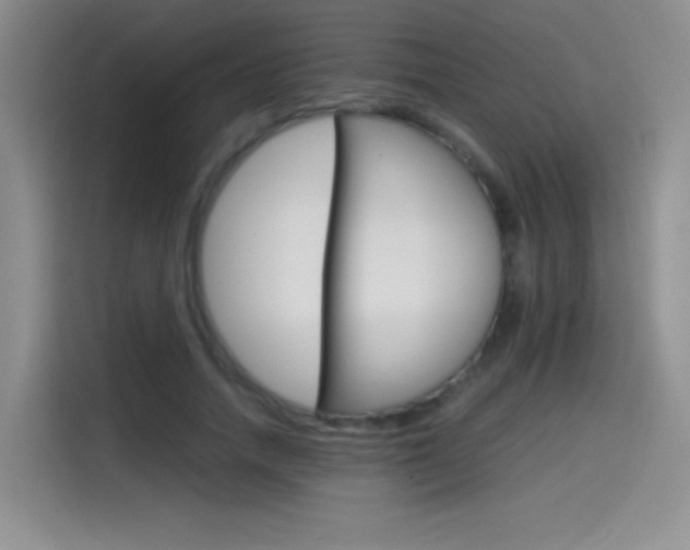 X0000114640738200910200940