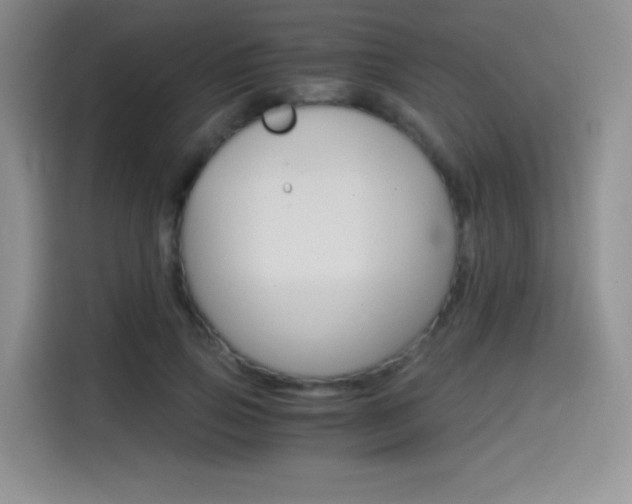 X0000114640741200910200940