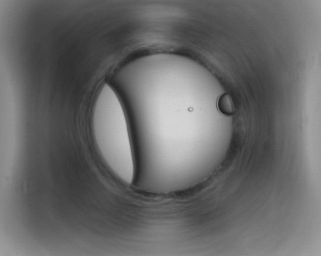 X0000114640742200910200940