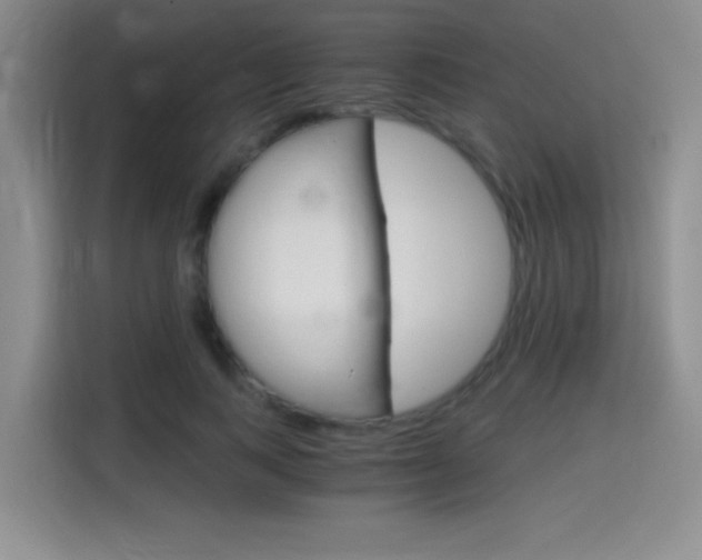X0000114640743200910200940