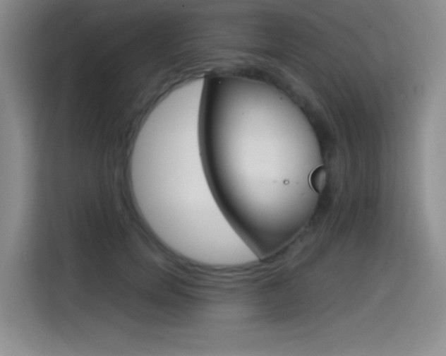 X0000114640750200910200940