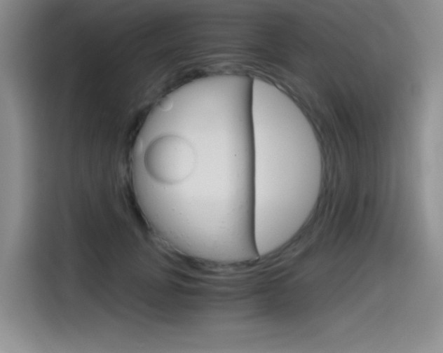 X0000114640751200910200940