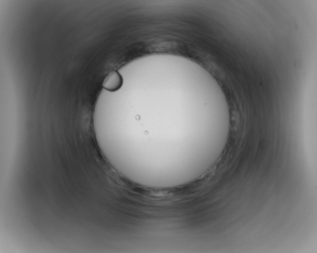 X0000114640753200910200940