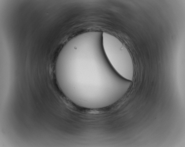 X0000114640759200910200940