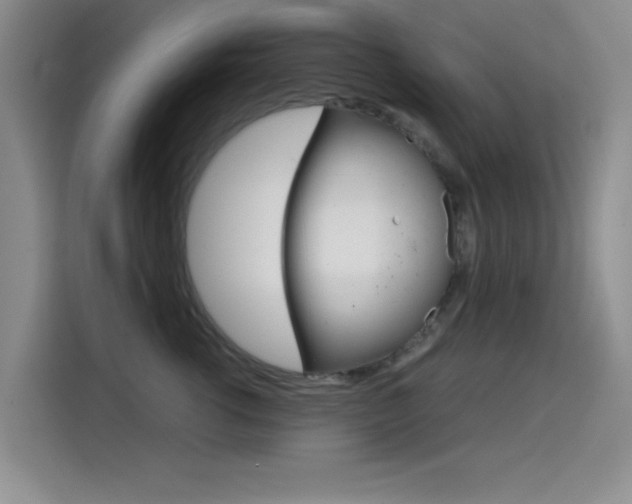 X0000114640762200910200940