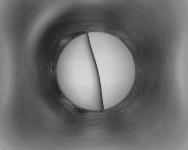 X0000114640763200910200940