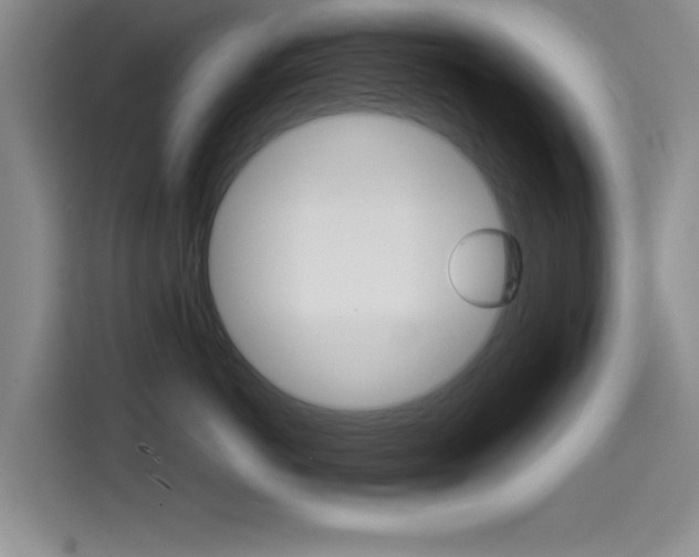 X0000114640766200910200941
