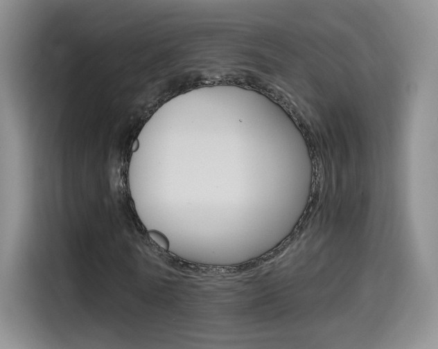 X0000114640770200910200940