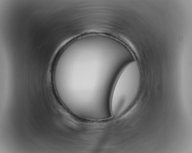 X0000114640779200910200940