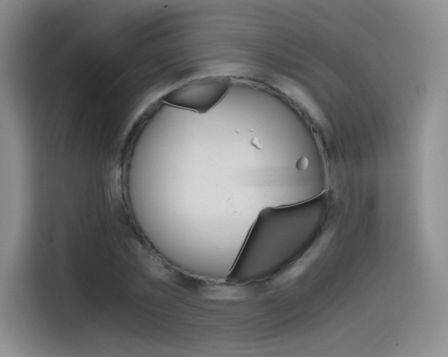 X0000114640781200910200940