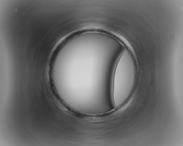 X0000114640783200910200940