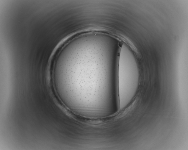X0000114640784200910200940