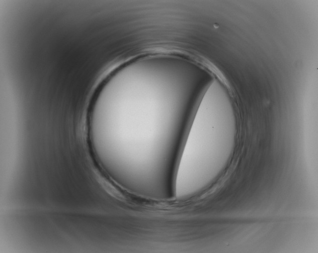 X0000114640787200910200940