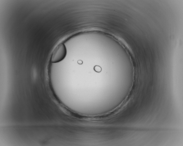 X0000114640789200910200940