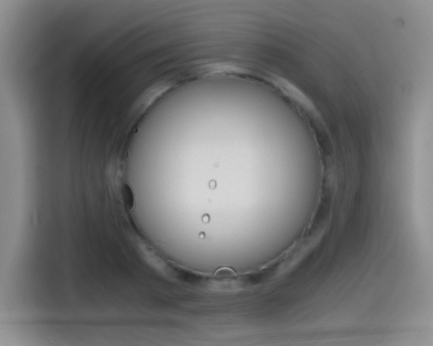 X0000114640793200910200940