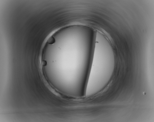 X0000114640796200910200940