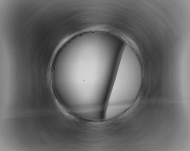 X0000114640800200910200940