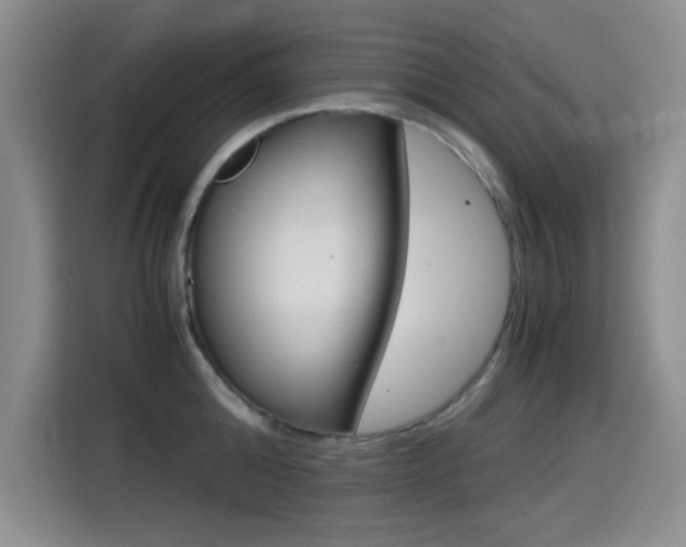 X0000114640808200910200939