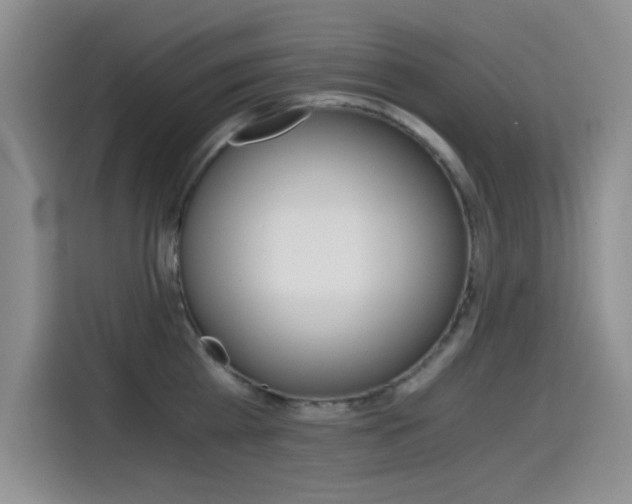 X0000114640809200910200939