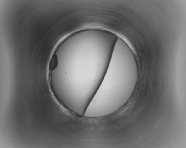X0000114640815200910200939