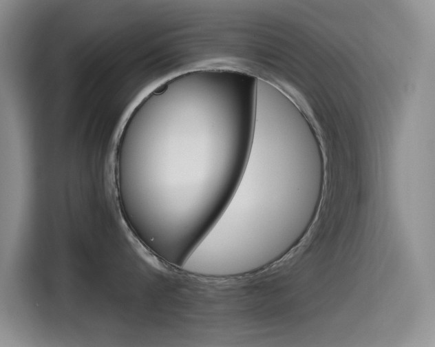 X0000114640816200910200939
