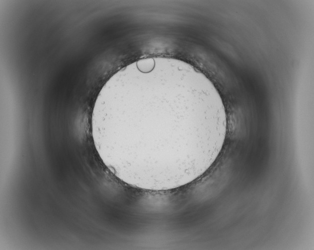 X0000114640820200910200939