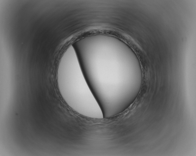 X0000114640822200910200939