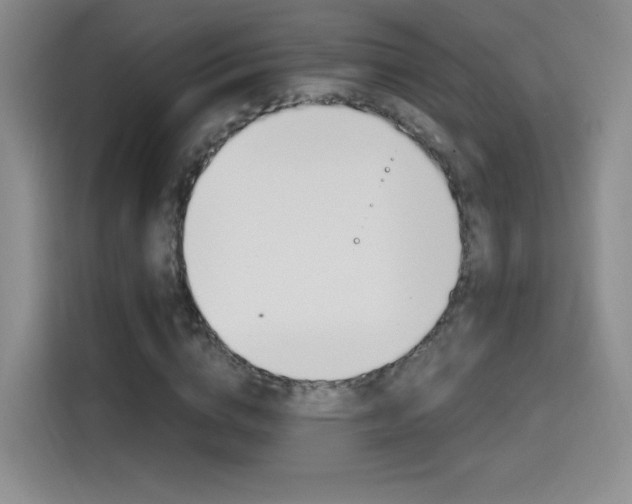 X0000114640824200910200939