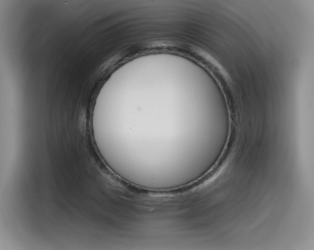 X0000114640825200910200939