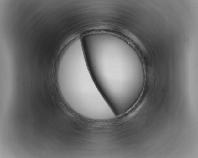 X0000114640826200910200939