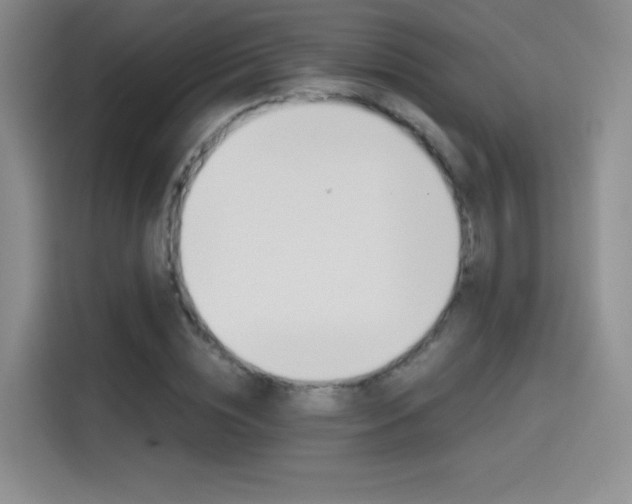 X0000114640828200910200939
